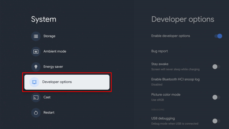click developer options
