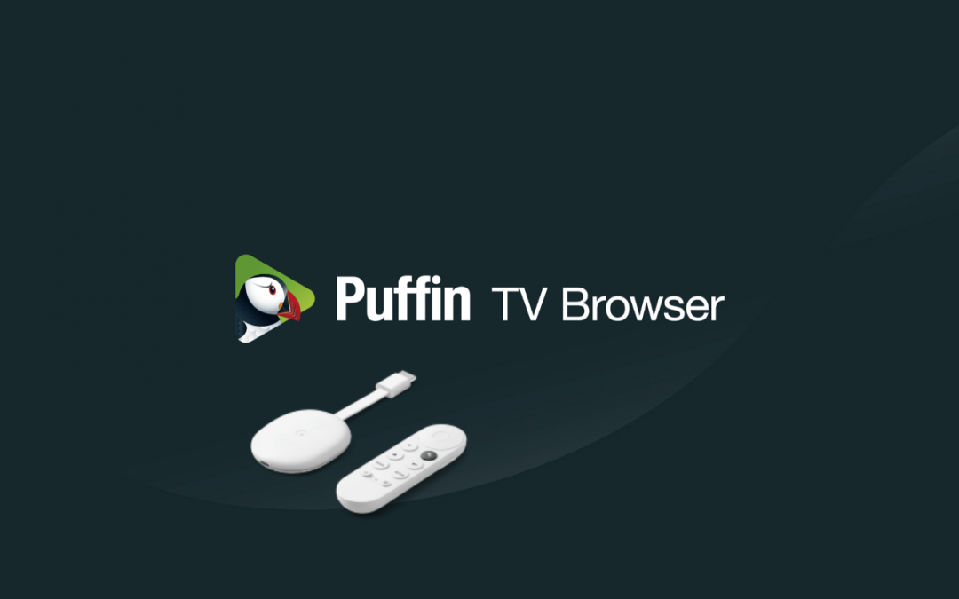 Puffin TV Browser on Google TV